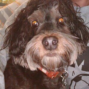 Meet your Posher, Justice